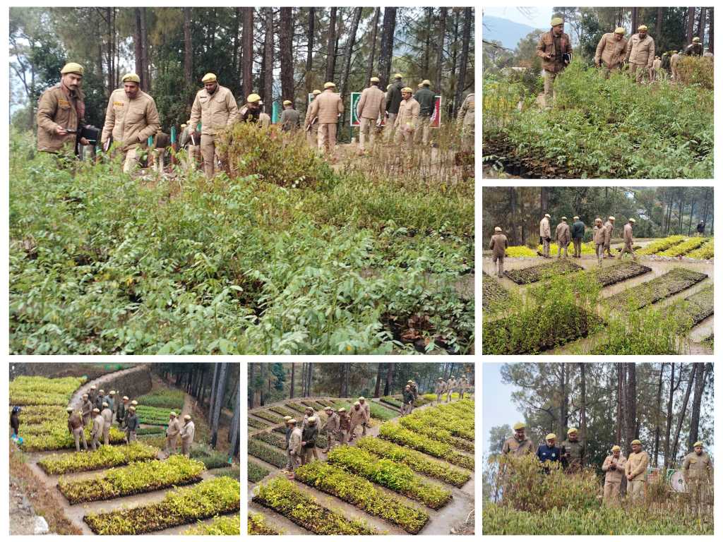 उत्तराखंड वानिकी प्रशिक्षण अकादमी हल्द्वानी के 28 नव नियुक्त आरक्षीयों ने भिंगराड़ा रेंज की पौधशाला का किया भ्रमण।